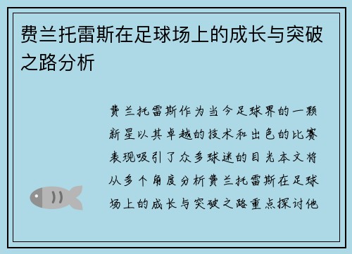 费兰托雷斯在足球场上的成长与突破之路分析